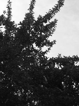 lookout
