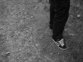 sneaks