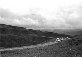 into the grasslands