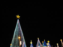 treestar