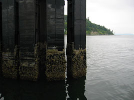 pilings